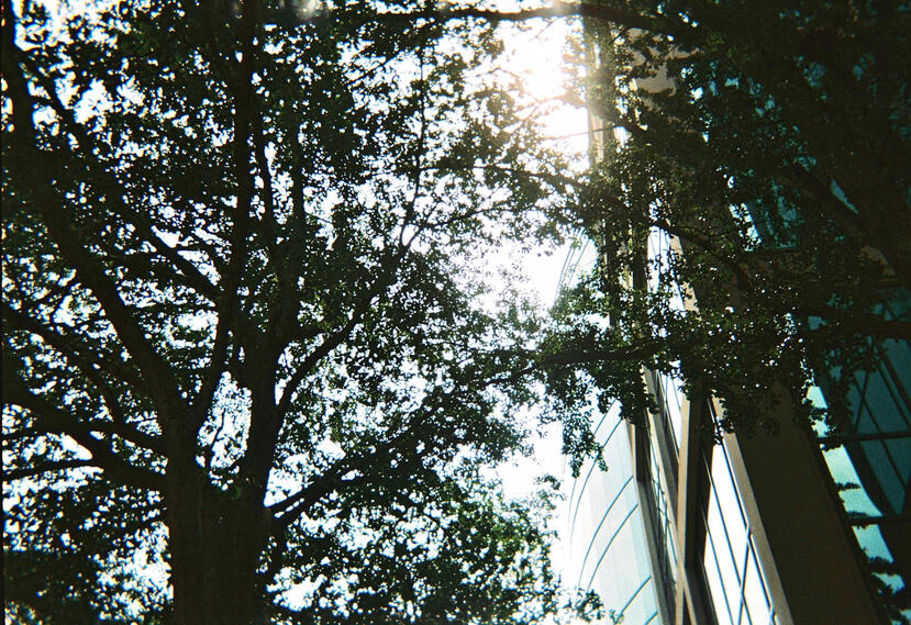 Roll 02 · Summer 2026 · Tucker, GA