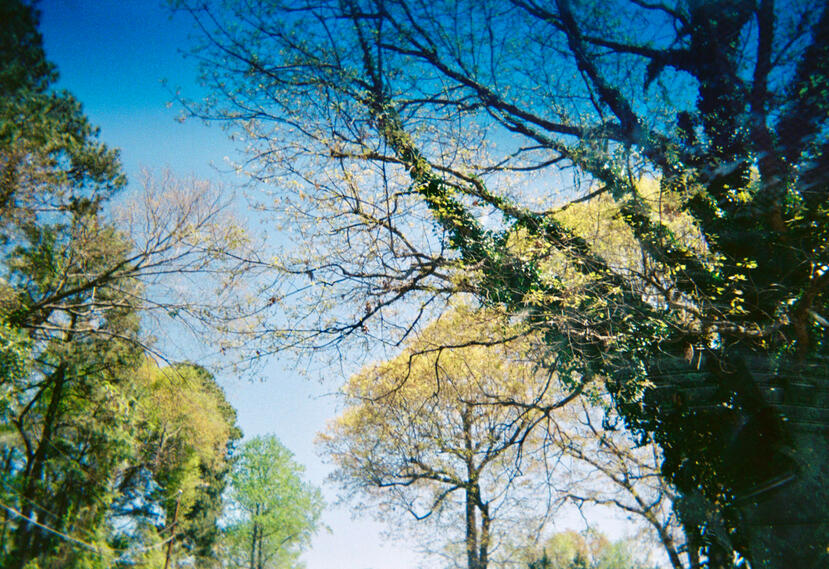 Roll 01 · Spring 2026 · Morrow, GA