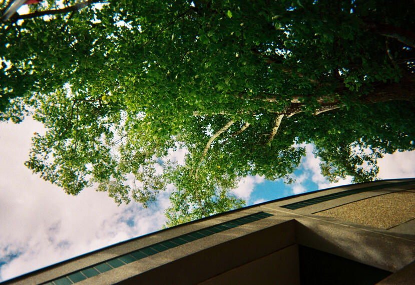 Roll 02 · Summer 2026 · Tucker, GA