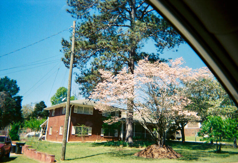 Roll 01 · Spring 2026 · Near Costco (Mt. Zion)